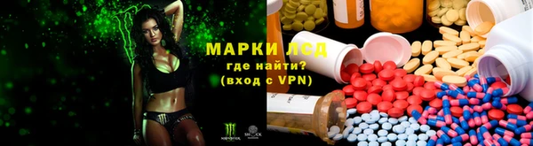 герыч Алексин