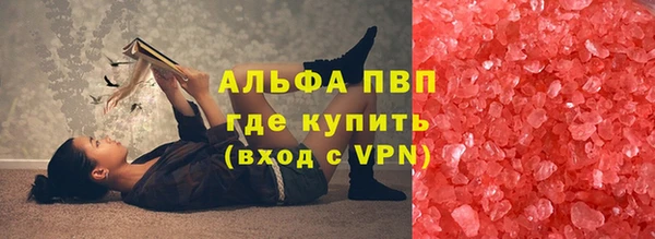 прущие грибы Арсеньев