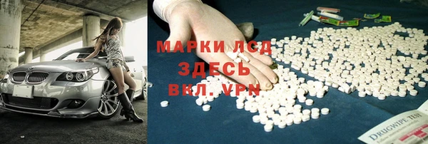 spice Алзамай